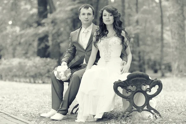 Black and white portrait of the bride and groom wedding — Stock Photo, Image