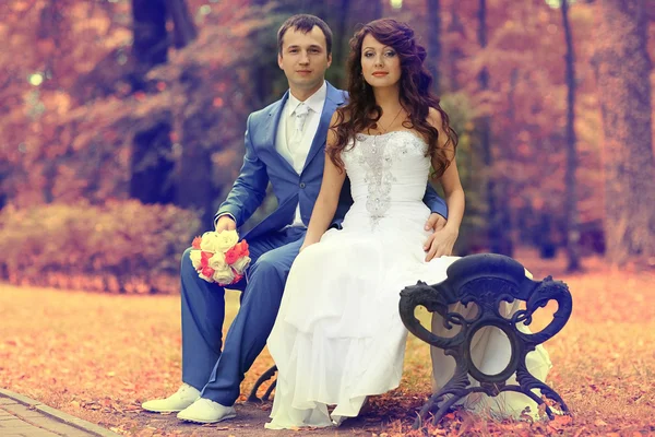 Autumn wedding in the park — Stock Photo, Image