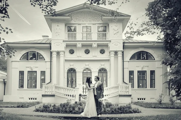 Gelin ve damat düğün siyah beyaz portre — Stok fotoğraf