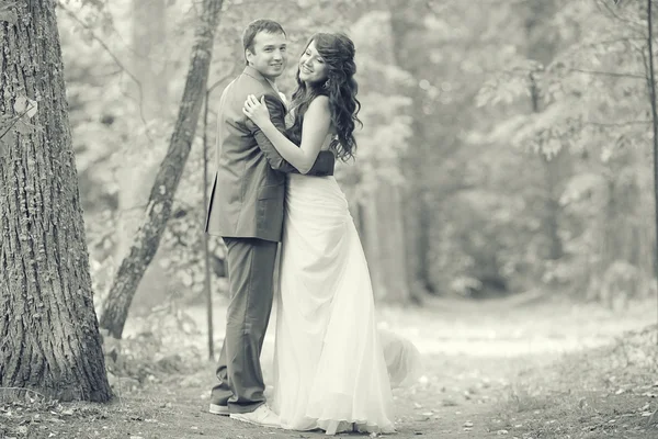 Retrato preto e branco do casamento da noiva e do noivo — Fotografia de Stock