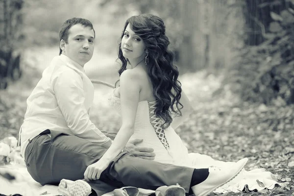 Wedding picnic in the park — Stock Photo, Image