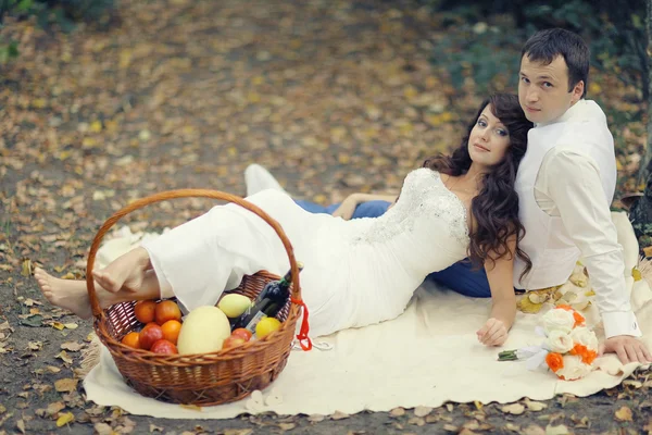 Wedding picnic in the park — Stock Photo, Image