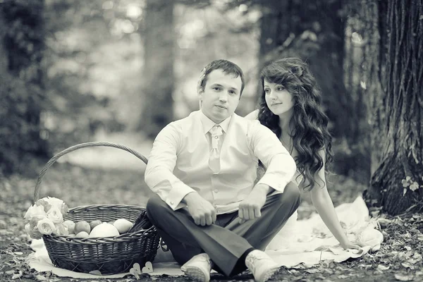 公園でのピクニックの結婚式 — ストック写真
