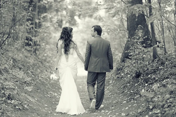 Retrato en blanco y negro de los novios —  Fotos de Stock