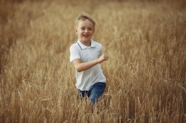 bir buğday alanı çocuk çalışan