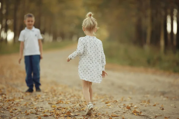 Hermano y hermana Camino de otoño — Foto de Stock