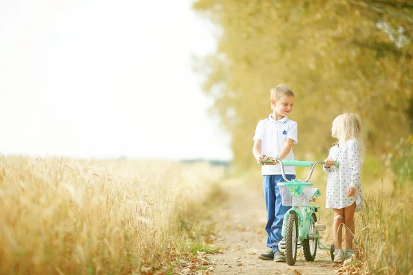 Fratello e sorella Autunno strada bicicletta — Foto Stock