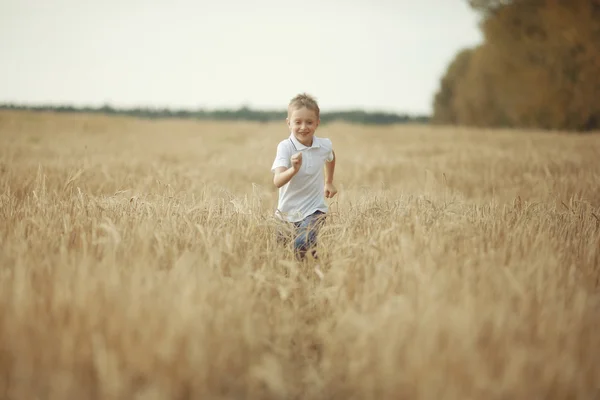 Menino corre através de um campo de trigo — Fotografia de Stock