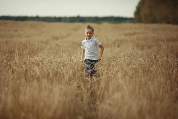 Boy runs through a wheat field — Stock Photo, Image