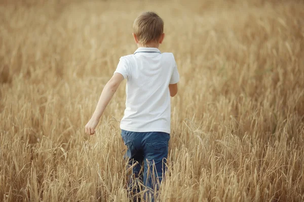 Ragazzo corre attraverso un campo di grano — Foto Stock