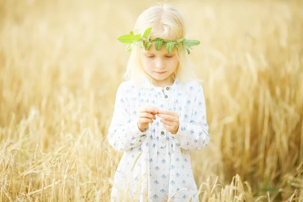 Blondes kleines Mädchen auf dem Feld — Stockfoto