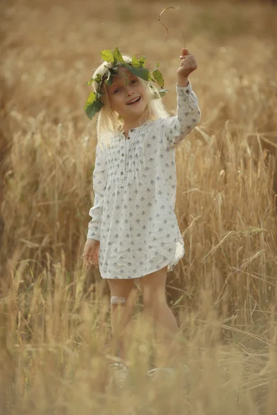 Blonďatá holčička v poli — Stock fotografie