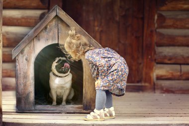 kız ve köpek evi yakınındaki küçük köpek