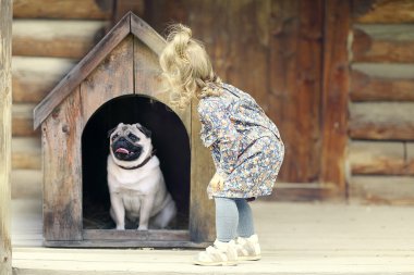 kız ve küçük köpek, köpek ev