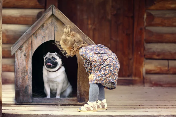 Kız ve köpek evi yakınındaki küçük köpek — Stok fotoğraf