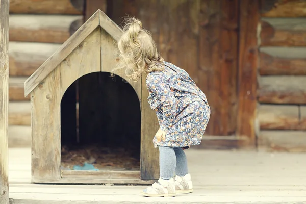 Дівчина і маленький собака біля собачого будинку — стокове фото