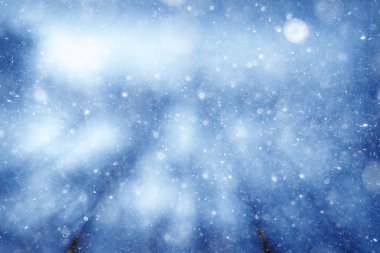 arka plan bulanık bokeh doğa