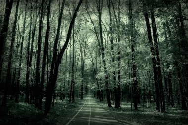 tek renkli doğa parkı