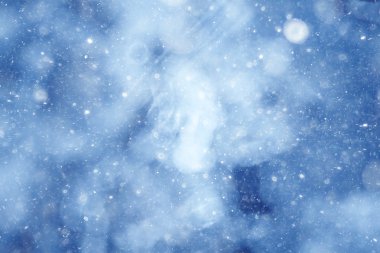 arka plan bulanık bokeh doğa, odaklanmamış