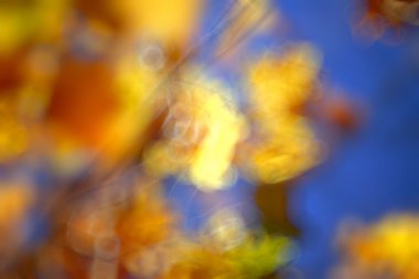 odaklanmamış doğa arka plan bokeh