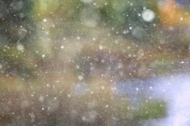 arka plan bulanık bokeh doğa