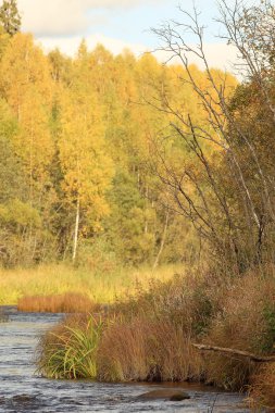 doğa sonbahar manzara