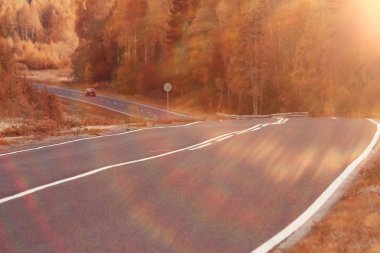 manzara arka planda güneşli sonbahar park