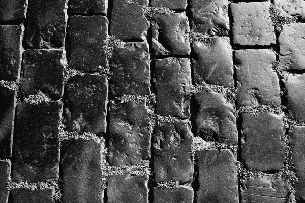 Texture of the stone pavement — Stock Photo, Image