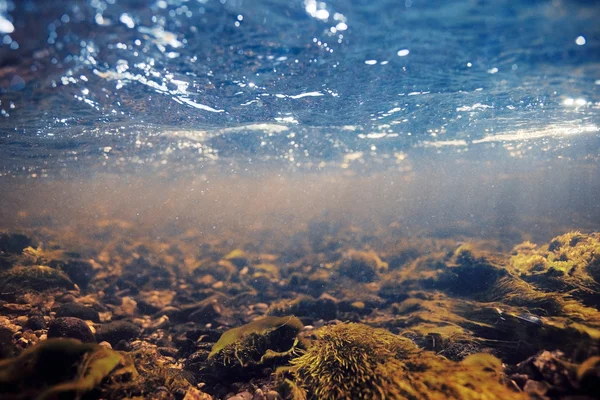 Podvodní scenérie v čisté řece vody — Stock fotografie