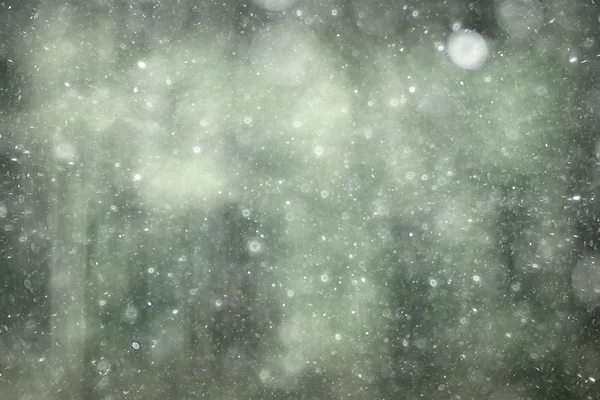 Siyah ve beyaz doku kar bokeh — Stok fotoğraf