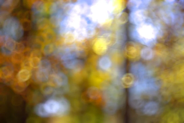 Natura sfocata sfondo bokeh — Foto Stock