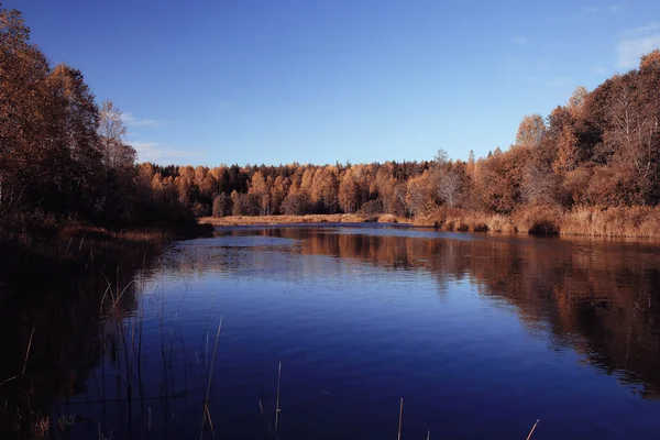 Осенний пейзаж озера Лес — стоковое фото
