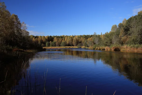 Paesaggio estivo nel parco — Foto Stock