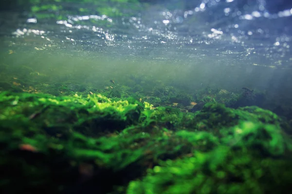 Під водою в гірській річці — стокове фото