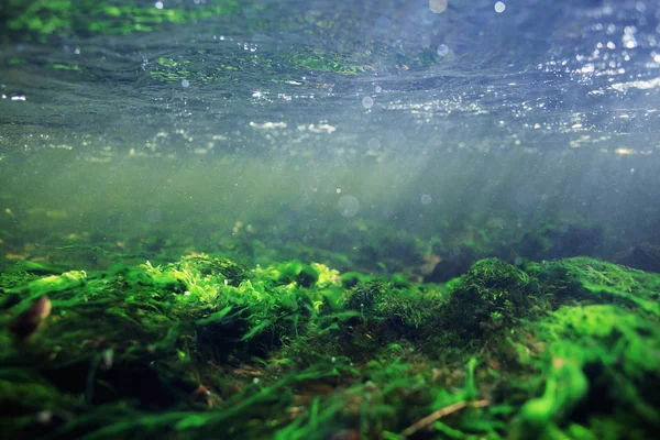 Underwater in a mountain river — Stock Photo, Image