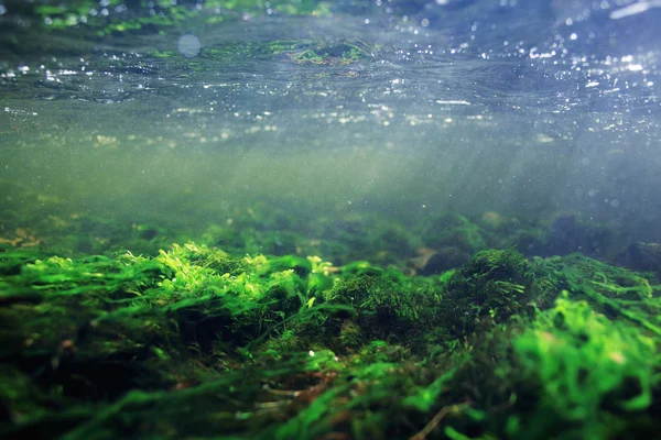 Unterwasser in einem Gebirgsfluss — Stockfoto