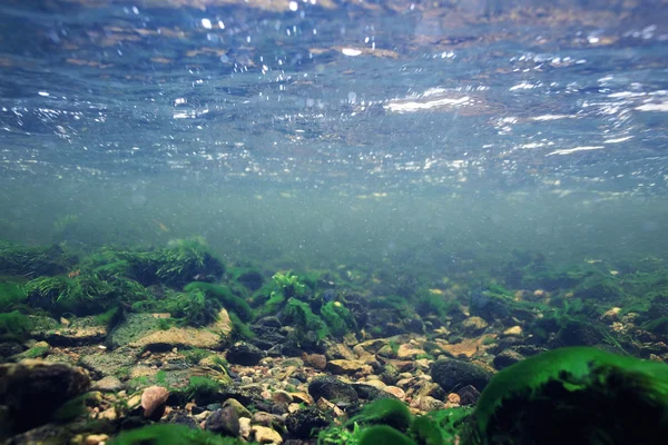 Bajo el agua en un río de montaña — Foto de Stock