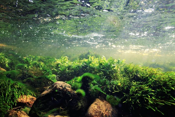 Bir dağ nehir sualtı
