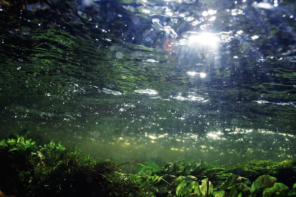 Unterwasser in einem Gebirgsfluss — Stockfoto