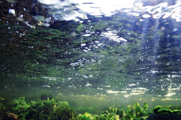 Pod vodou v horské řece — Stock fotografie