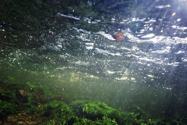 在一条山涧河流水下 — 图库照片