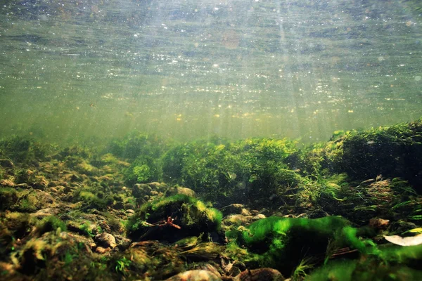 Onderwater in een rivier berg — Stockfoto