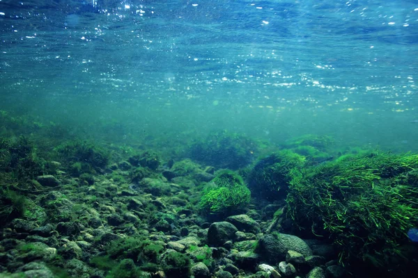 Unterwasser in einem Gebirgsfluss — Stockfoto