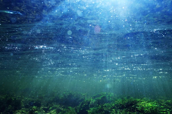 Under vattnet i en berg flod — Stockfoto