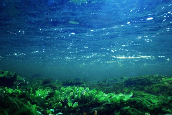 Sous l'eau dans une rivière de montagne — Photo