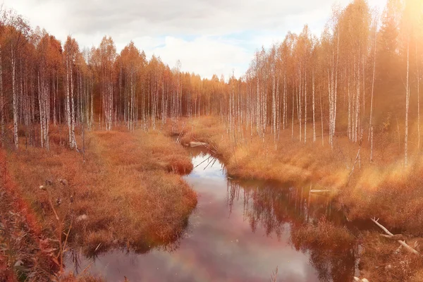 Paisaje de otoño en la naturaleza —  Fotos de Stock