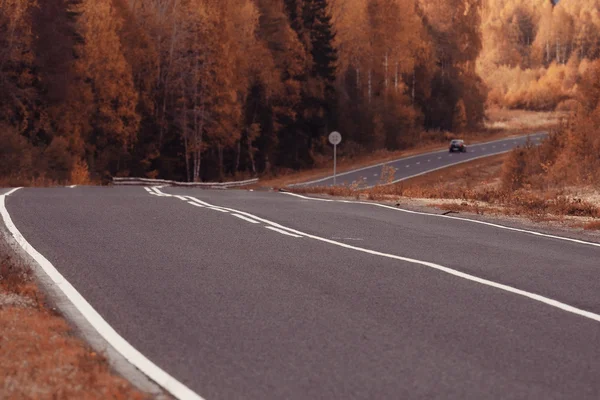 在森林里的秋天道路景观。 — 图库照片