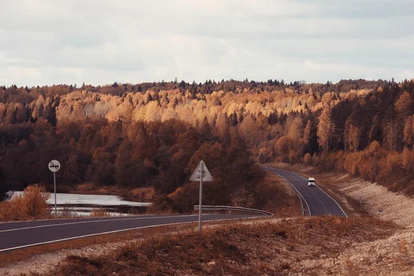 Route d'automne en forêt — Photo