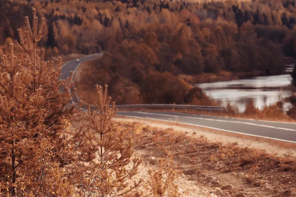 Paisagem rodoviária de outono na floresta — Fotografia de Stock