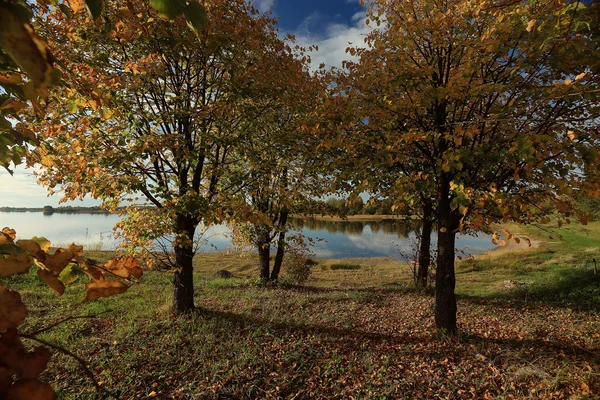 Concept autumn in city — Stock Photo, Image